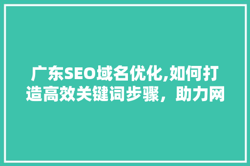 广东SEO域名优化,如何打造高效关键词步骤，助力网站排名提升