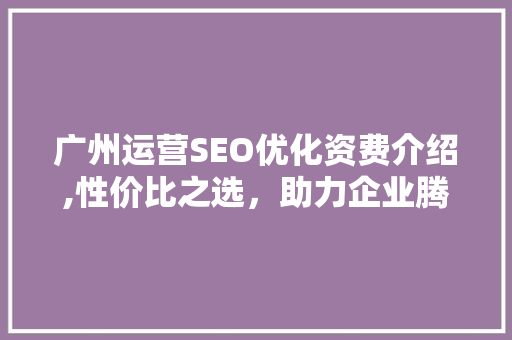 广州运营SEO优化资费介绍,性价比之选，助力企业腾飞