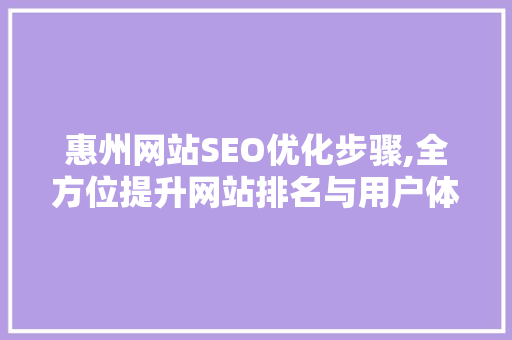 惠州网站SEO优化步骤,全方位提升网站排名与用户体验