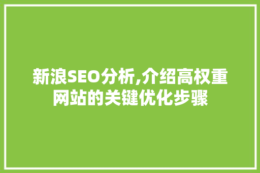 新浪SEO分析,介绍高权重网站的关键优化步骤
