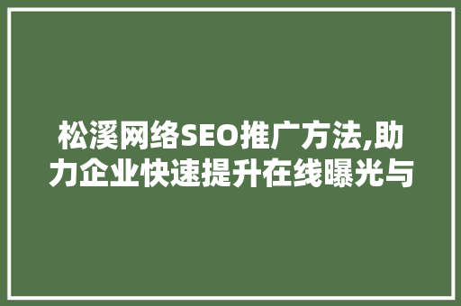 松溪网络SEO推广方法,助力企业快速提升在线曝光与品牌知名度