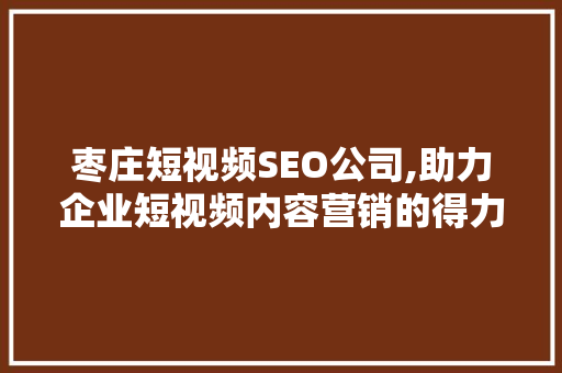 枣庄短视频SEO公司,助力企业短视频内容营销的得力助手