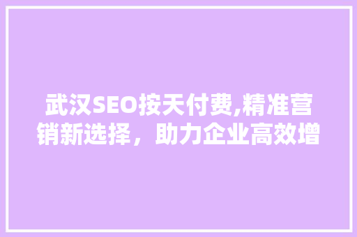 武汉SEO按天付费,精准营销新选择，助力企业高效增长