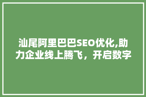 汕尾阿里巴巴SEO优化,助力企业线上腾飞，开启数字营销新时代