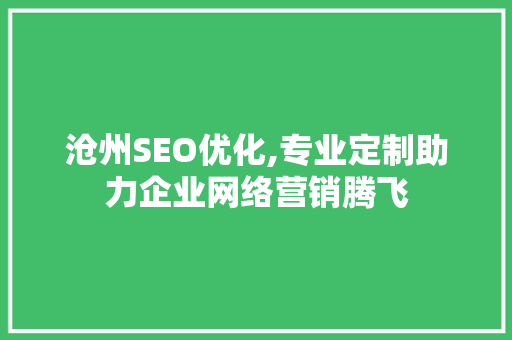 沧州SEO优化,专业定制助力企业网络营销腾飞
