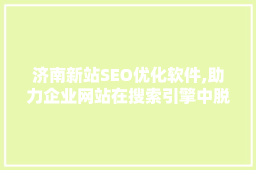 济南新站SEO优化软件,助力企业网站在搜索引擎中脱颖而出