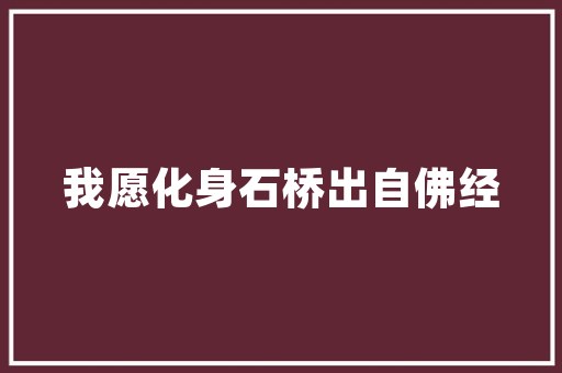 海南SEO优化之选,介绍高效优化步骤与优质平台