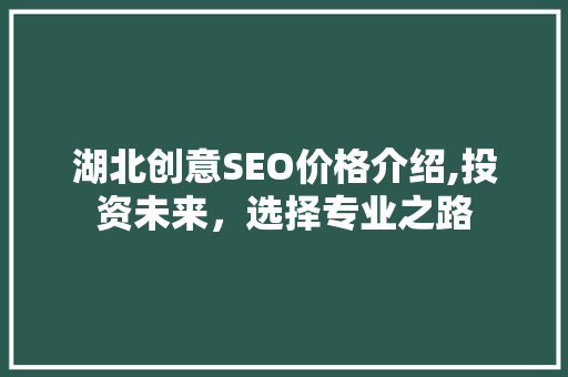 湖北创意SEO价格介绍,投资未来，选择专业之路
