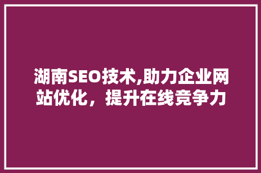 湖南SEO技术,助力企业网站优化，提升在线竞争力  第1张