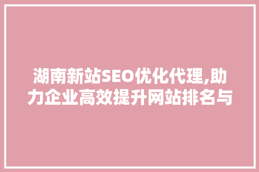 湖南新站SEO优化代理,助力企业高效提升网站排名与流量