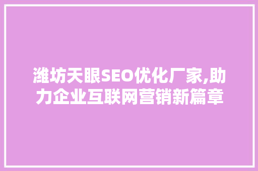 潍坊天眼SEO优化厂家,助力企业互联网营销新篇章