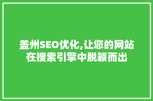 盖州SEO优化,让您的网站在搜索引擎中脱颖而出