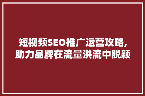 短视频SEO推广运营攻略,助力品牌在流量洪流中脱颖而出