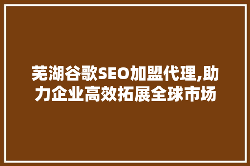 芜湖谷歌SEO加盟代理,助力企业高效拓展全球市场