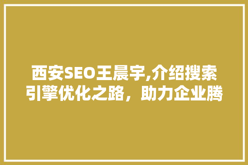 西安SEO王晨宇,介绍搜索引擎优化之路，助力企业腾飞