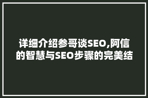 详细介绍参哥谈SEO,阿信的智慧与SEO步骤的完美结合