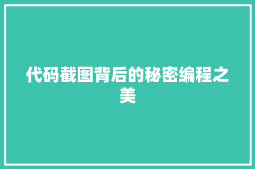 代码截图背后的秘密编程之美