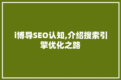 i博导SEO认知,介绍搜索引擎优化之路