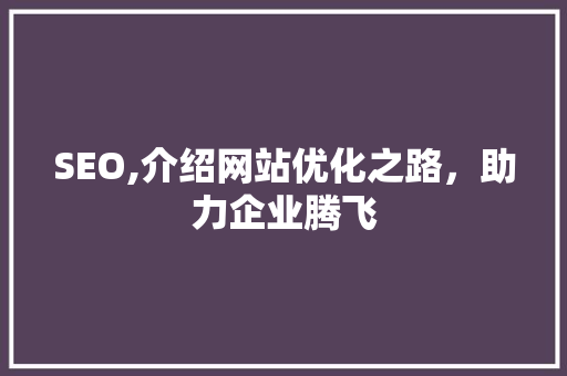 SEO,介绍网站优化之路，助力企业腾飞