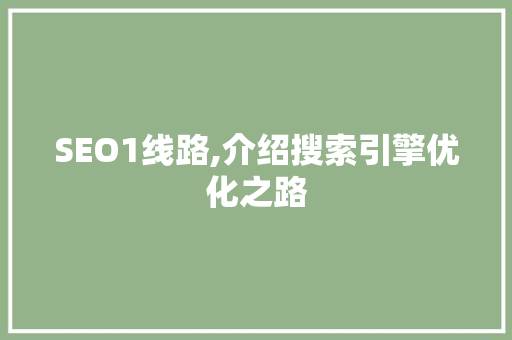 SEO1线路,介绍搜索引擎优化之路  第1张