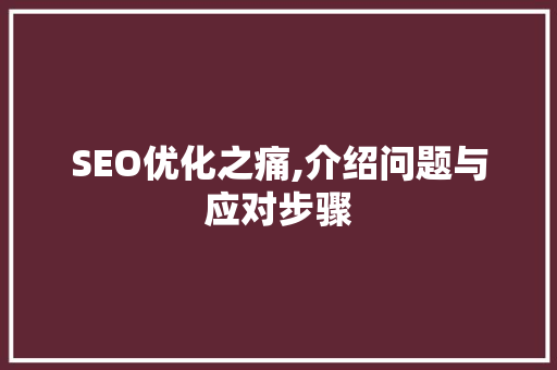 SEO优化之痛,介绍问题与应对步骤