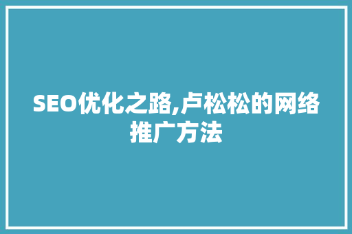 SEO优化之路,卢松松的网络推广方法