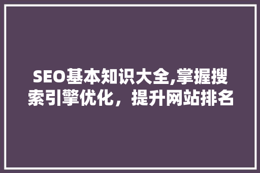 SEO基本知识大全,掌握搜索引擎优化，提升网站排名