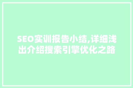 SEO实训报告小结,详细浅出介绍搜索引擎优化之路
