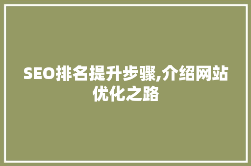 SEO排名提升步骤,介绍网站优化之路