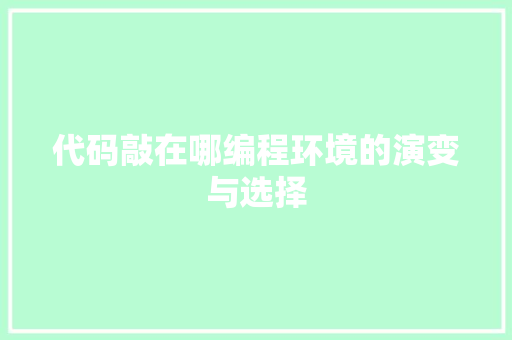 代码敲在哪编程环境的演变与选择