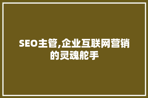 SEO主管,企业互联网营销的灵魂舵手