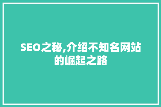 SEO之秘,介绍不知名网站的崛起之路
