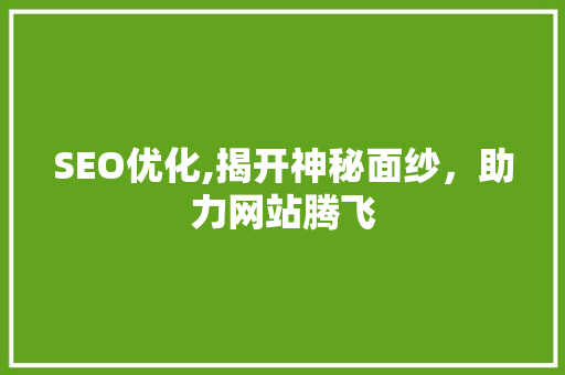 SEO优化,揭开神秘面纱，助力网站腾飞  第1张