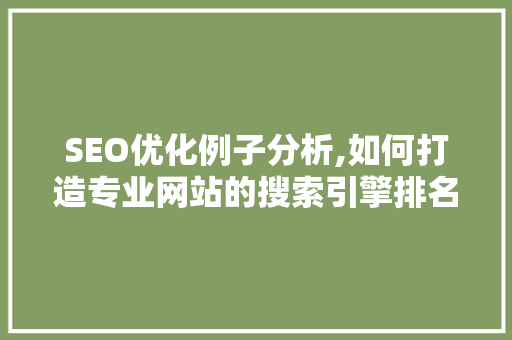 SEO优化例子分析,如何打造专业网站的搜索引擎排名