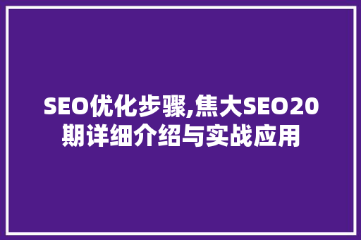 SEO优化步骤,焦大SEO20期详细介绍与实战应用