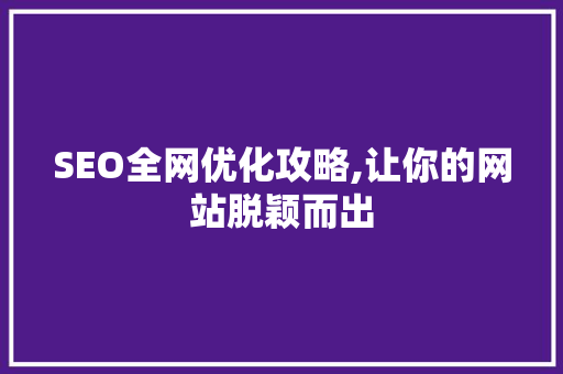 SEO全网优化攻略,让你的网站脱颖而出