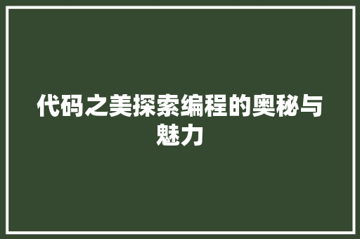 代码之美探索编程的奥秘与魅力