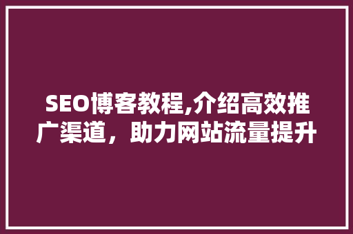 SEO博客教程,介绍高效推广渠道，助力网站流量提升！