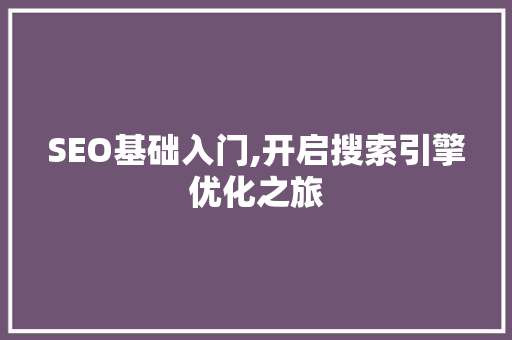 SEO基础入门,开启搜索引擎优化之旅