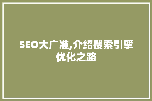 SEO大广准,介绍搜索引擎优化之路