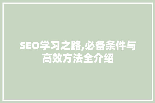 SEO学习之路,必备条件与高效方法全介绍