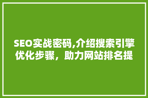 SEO实战密码,介绍搜索引擎优化步骤，助力网站排名提升
