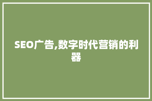 SEO广告,数字时代营销的利器