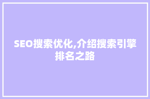 SEO搜索优化,介绍搜索引擎排名之路