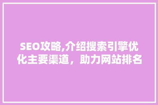 SEO攻略,介绍搜索引擎优化主要渠道，助力网站排名提升  第1张