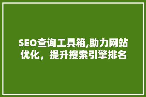 SEO查询工具箱,助力网站优化，提升搜索引擎排名