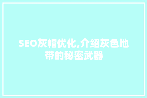 SEO灰帽优化,介绍灰色地带的秘密武器  第1张
