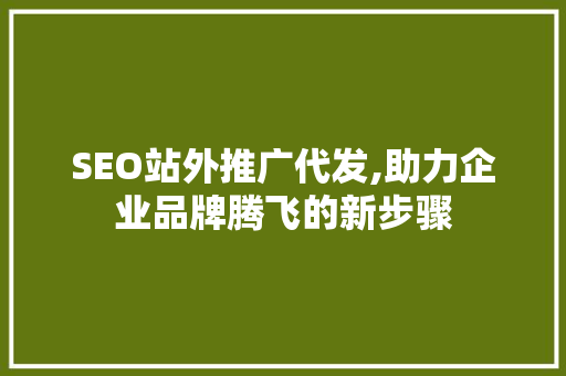 SEO站外推广代发,助力企业品牌腾飞的新步骤