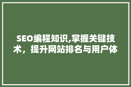 SEO编程知识,掌握关键技术，提升网站排名与用户体验