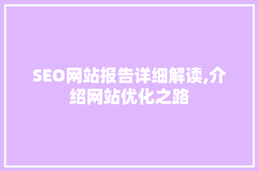 SEO网站报告详细解读,介绍网站优化之路